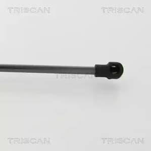 871038248 Triscan Газовый упор багажника для Citroen C4 Cactus