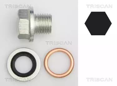 95001001 Triscan Сливная пробка масляного поддона