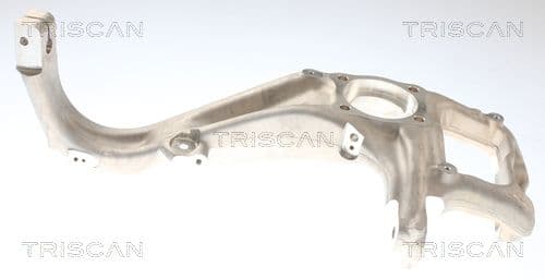 850081711 Triscan Поворотный кулак для Tesla Model X
