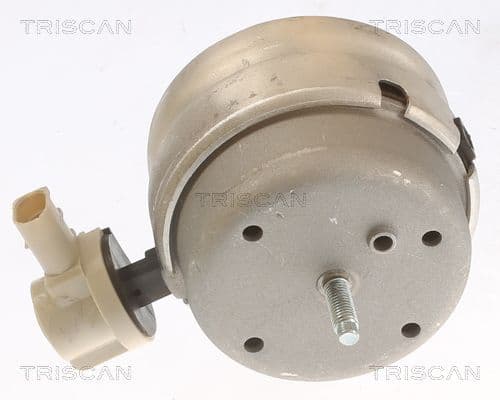 850529111 Triscan Подушка двигуна для Audi A4