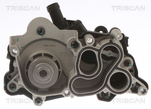 860029060h Triscan Помпа