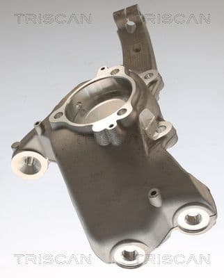 850081703 Triscan Поворотний кулак для Tesla Model Y