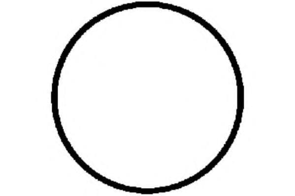 JD321 Payen Прокладка випускного колектора