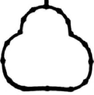 JD6036 Payen Прокладка впускного коллектора