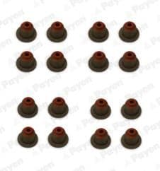 HR5110 Payen Комплект сальников клапанов