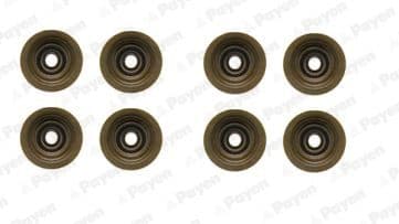 HR5051 Payen Комплект сальників клапанів