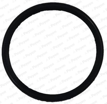 jd6150 Payen Прокладка впускного коллектора