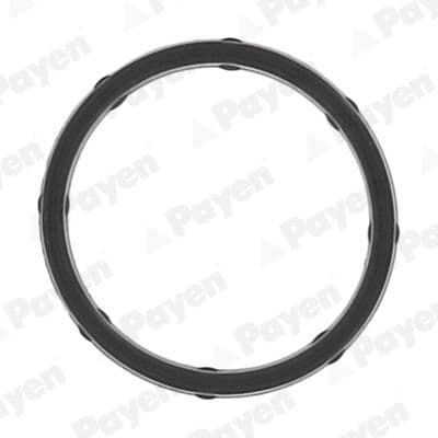 jd6172 Payen Прокладка впускного колектора