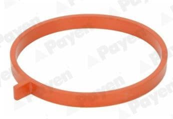 jd6186 Payen Прокладка впускного колектора