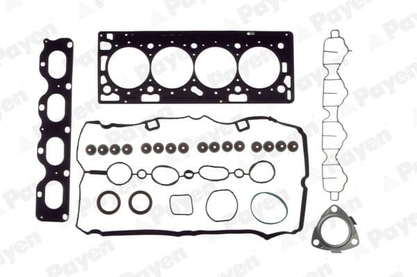 CH5242 Payen Комплект прокладок ГБЦ