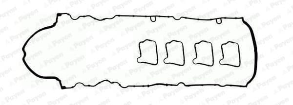 hm5406 Payen Комплект прокладок клапанної кришки