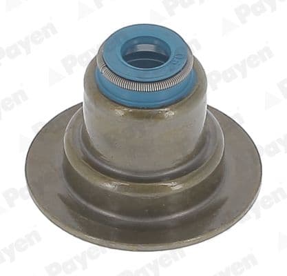 hr5152 Payen Комплект сальников клапанов