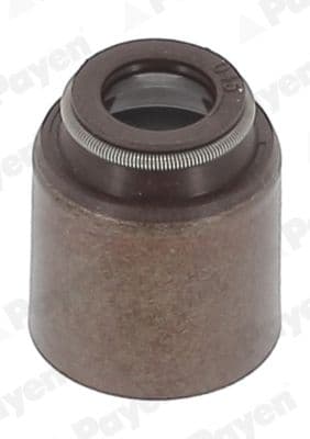 PA418 Payen Сальник клапана