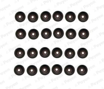 HR5107 Payen Комплект сальников клапанов