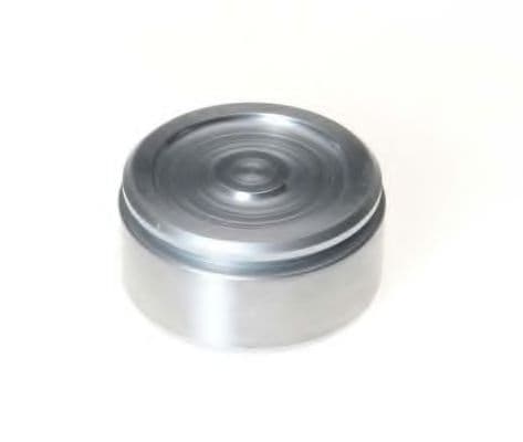 236027 Budweg Поршень гальмівного супорта для Citroen BX