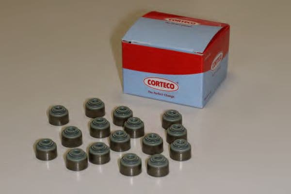 19036055 Corteco Комплект сальников клапанов