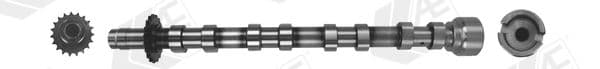cam1019 AE Распредвал