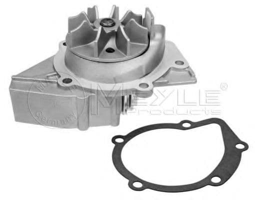 11-13 220 0001 Meyle Помпа