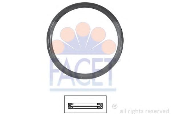 7.9675 Facet Прокладка термостата