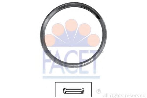 7.9679 Facet Прокладка термостата