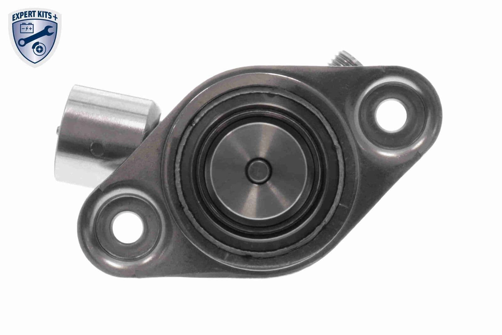 v202500051 Vemo Топливный насос высокого давления