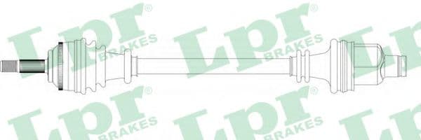 DS39135 LPR Піввісь