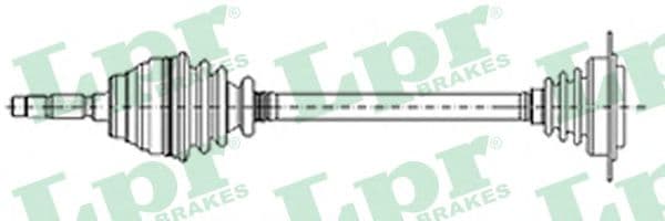 DS51067 LPR Піввісь