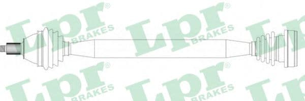 DS51125 LPR Полуось