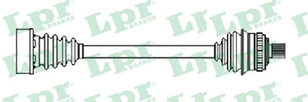 DS52199 LPR Піввісь