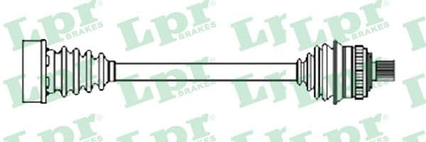 DS52641 LPR Піввісь