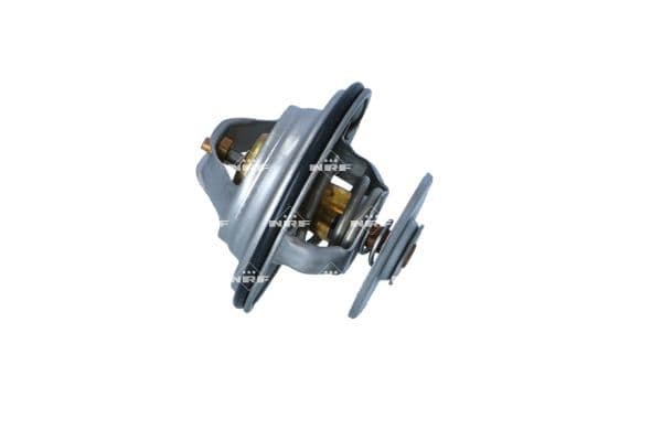 725184 NRF Термостат