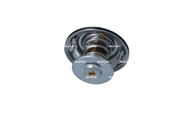 725067 NRF Термостат