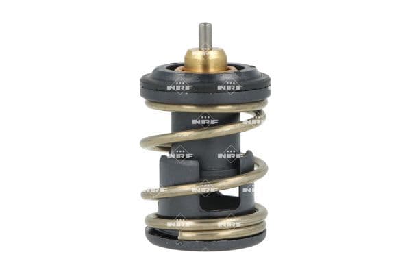 725391 NRF Термостат