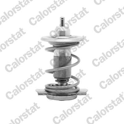 th978085 Calorstat by Vernet Термостат