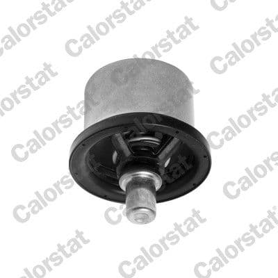 THS1695782 Calorstat by Vernet Термостат для Porsche Carrera GT