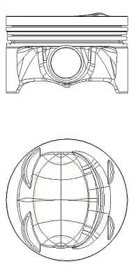 8743390010 Nüral Поршень двигуна