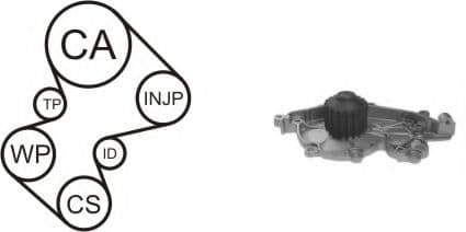 WPK-164001 Airtex Комплект ременя ГРМ + помпа