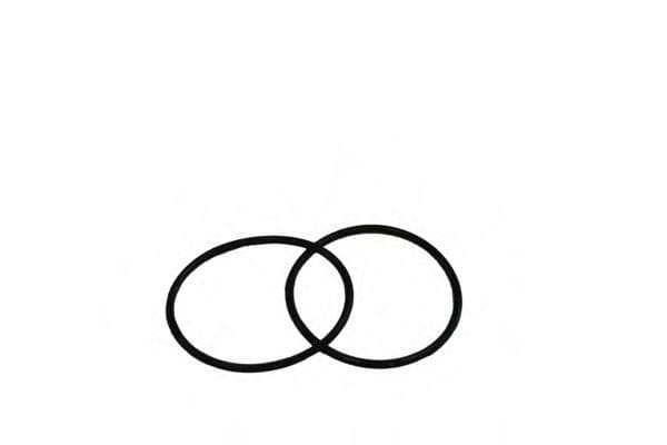 SH 4043 P SCT Germany Оливний фільтр