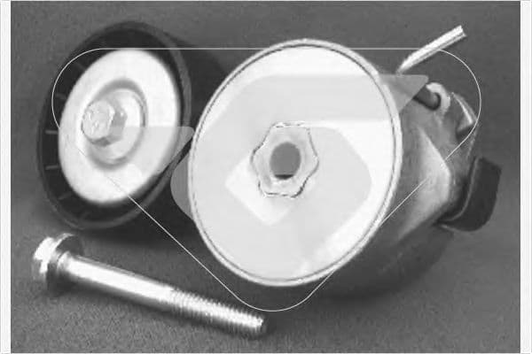 T0206 Hutchinson Натяжний ролик поліклинового ременя