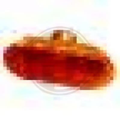 1404078 Diederichs Ліхтар покажчика повороту