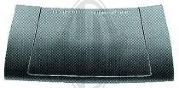 2211100 Diederichs Капот