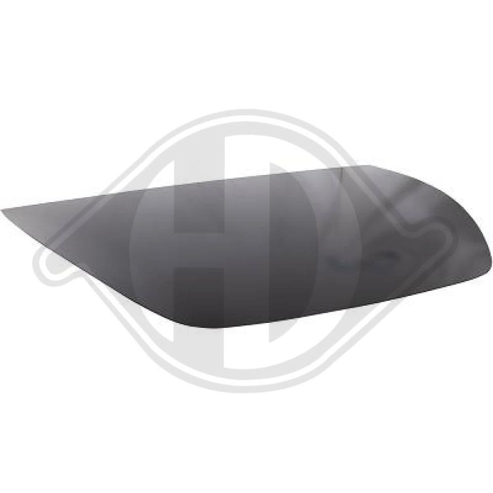 7960000 Diederichs Капот для Tesla Model Y