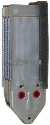 8113500400 JP Group Оливний радіатор двигуна