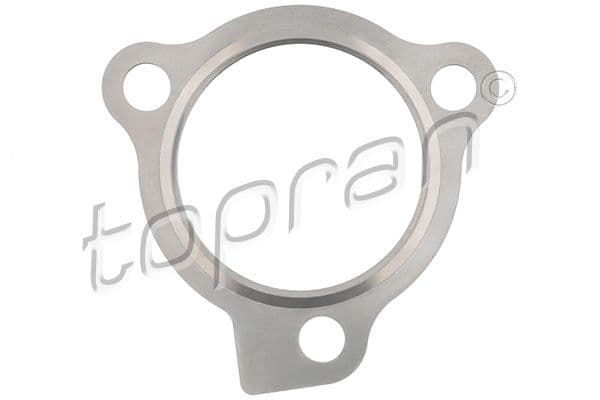 821889 Topran Прокладка турбины