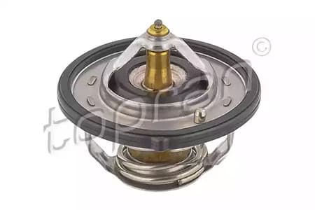 820596 Topran Термостат