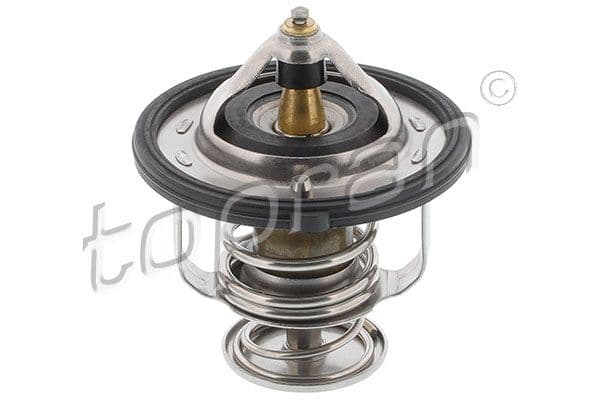 601741 Topran Термостат