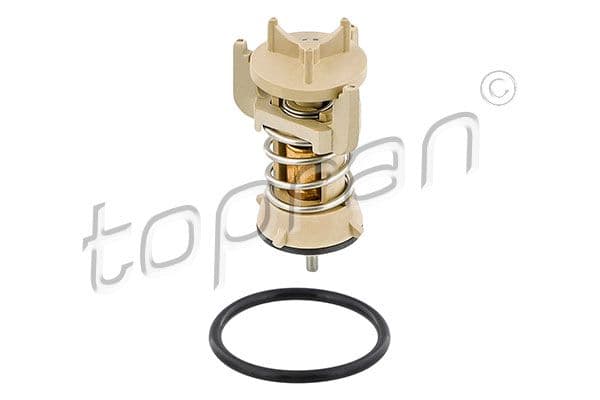 117027 Topran Термостат