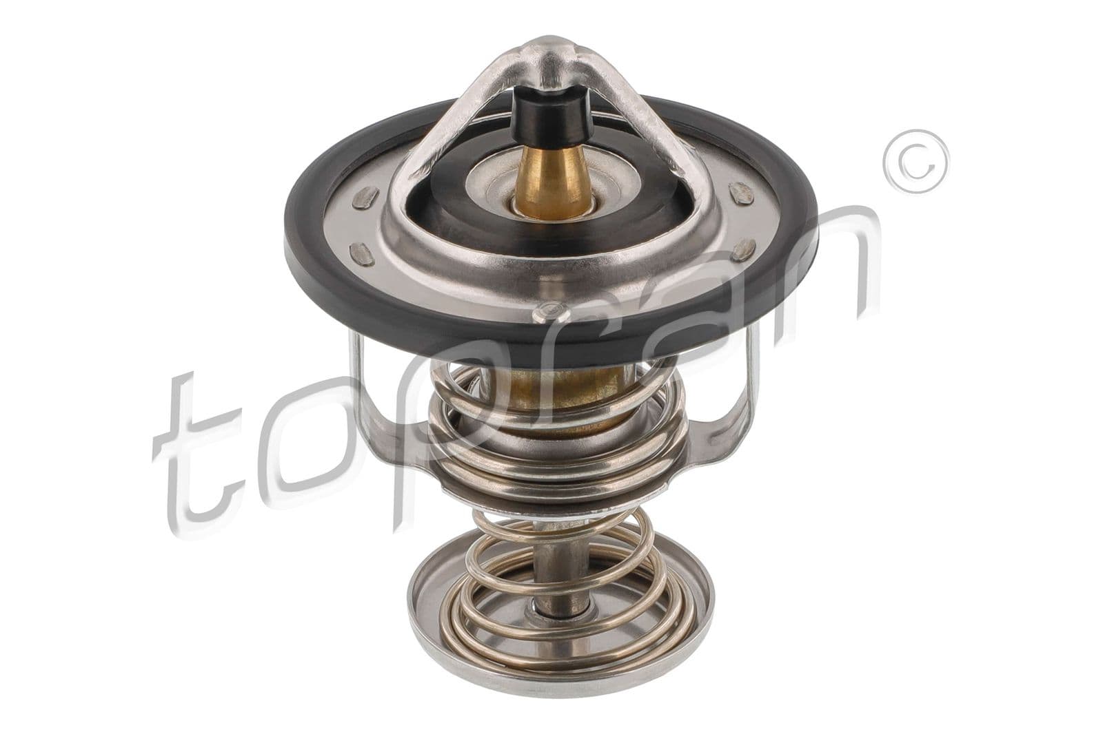 601662 Topran Термостат