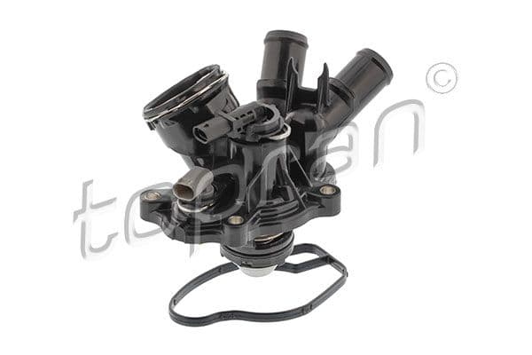 630315 Topran Термостат