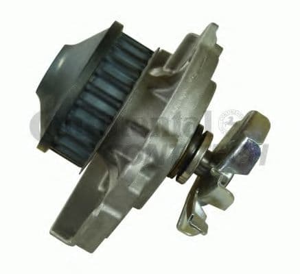 WP6032 Contitech Помпа